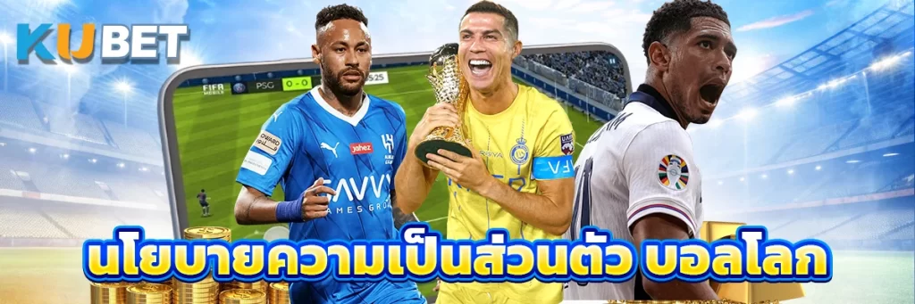 นโยบายความเป็นส่วนตัว บอลโลก
